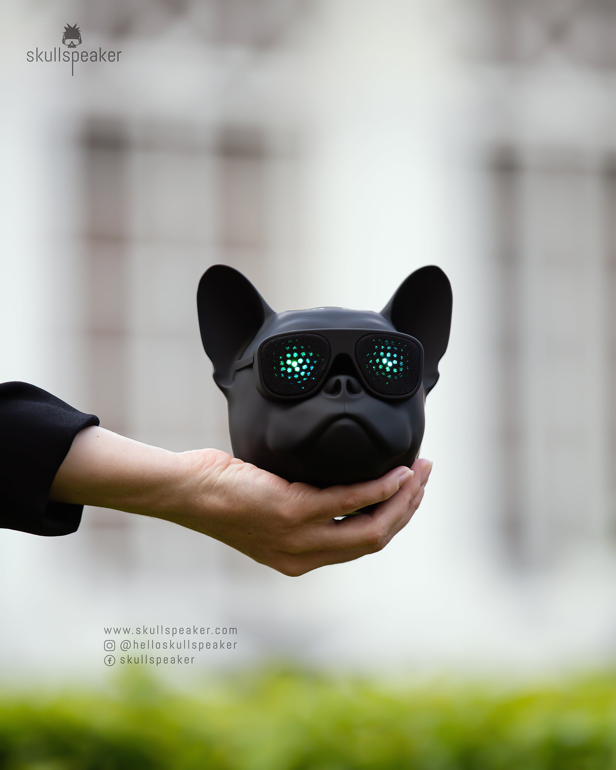 beast speaker holding in hands dog speaker